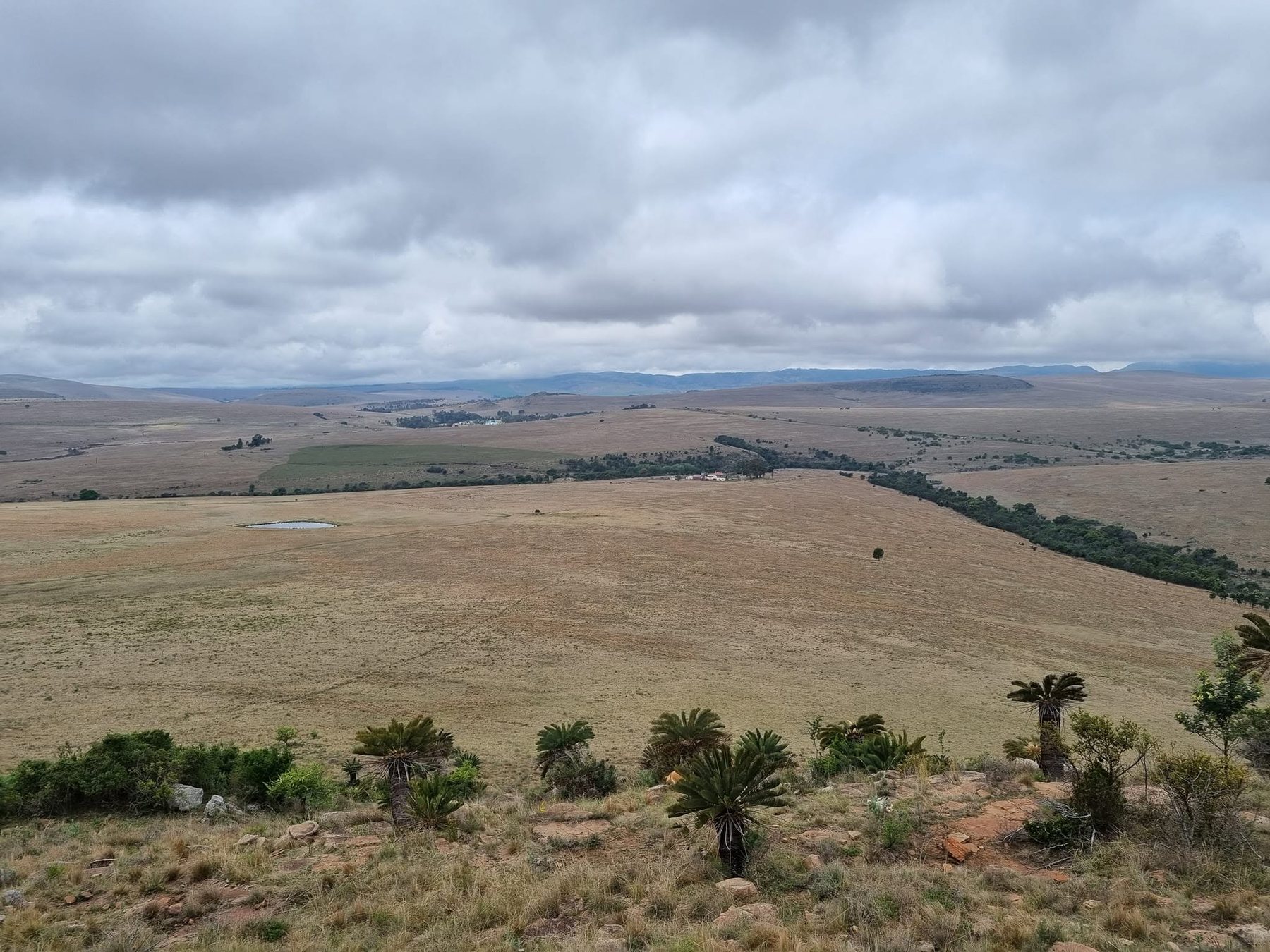 Open farmland and mountain country in the Thomas River district
